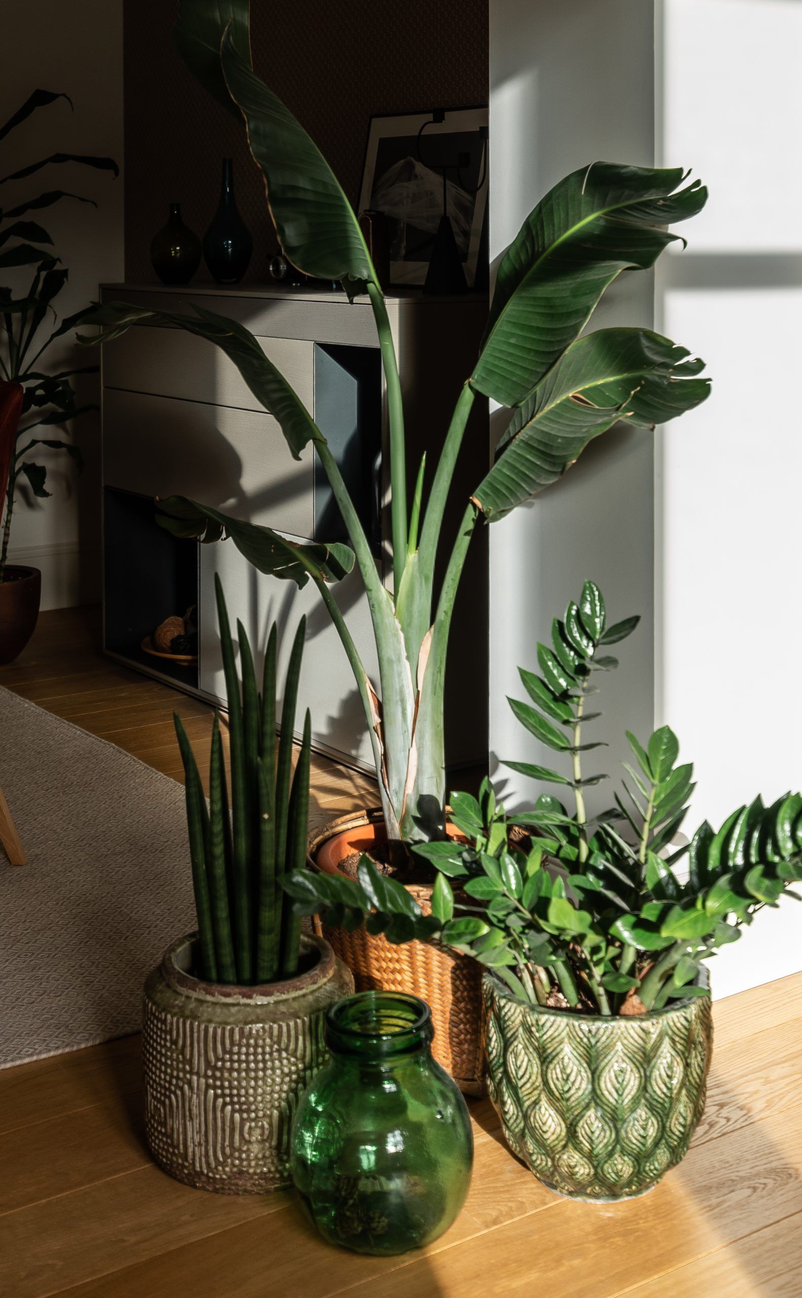 Ariane Roz es un estudio de fotografía con sede en Bilbao, Bizkaia. Fotógrafo especializado en reportajes fotográficos de arquitectura e interiorismo. Fotógrafa especializada en creación de contenido fotográfico para marcas y empresa. Sus clientes con interioristas, arquitectos, decoradores de interiores, estudios de branding.
