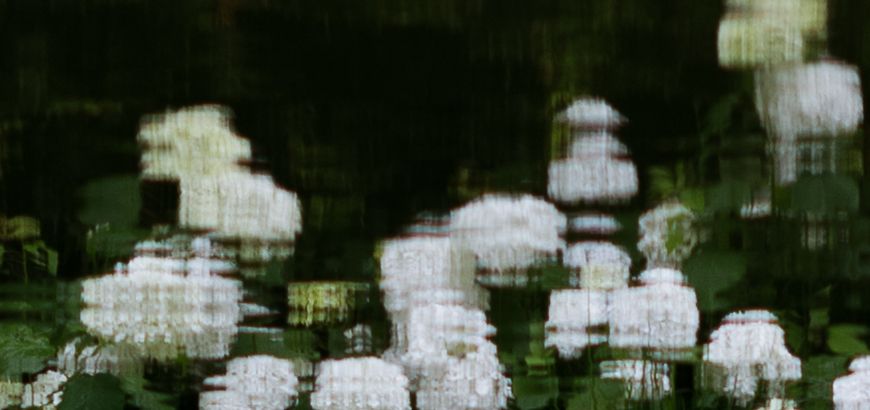 Lur Garden Ariane Roz fotógrafa de viajes travel photographer