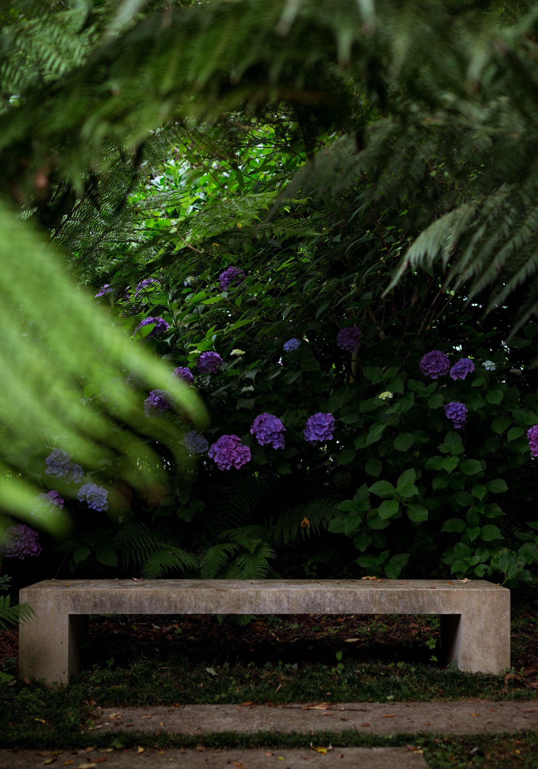 Lur Garden Ariane Roz fotógrafa de viajes travel photographer