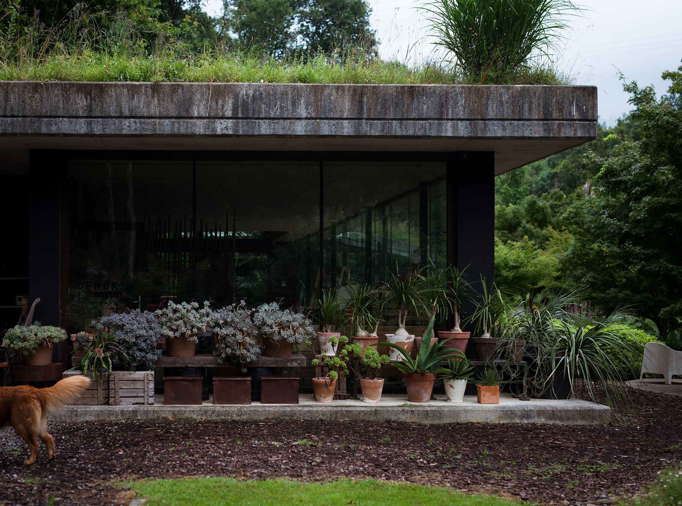 Lur Garden Ariane Roz fotógrafa de viajes travel photographer
