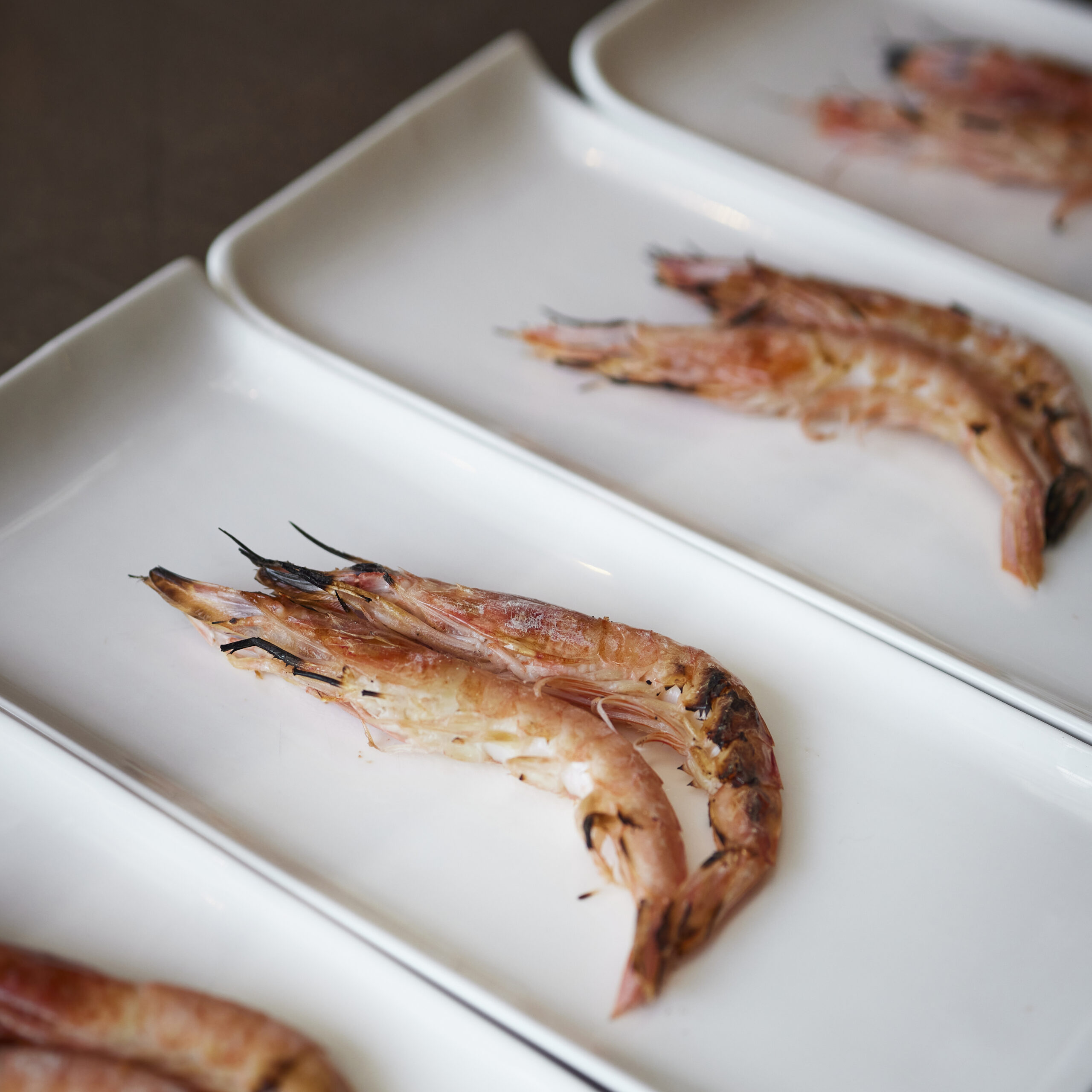 Ariane Roz. Fotógrafo de interiorismo y producto en Bilbao, Bizkaia. Fotógrafo especializado en hoteles, gastronomía y restaurantes. Fotógrafo especializado en hostelería. Reportaje fotográfico del Hotel El Amparo de Narcisa, en Burgos.