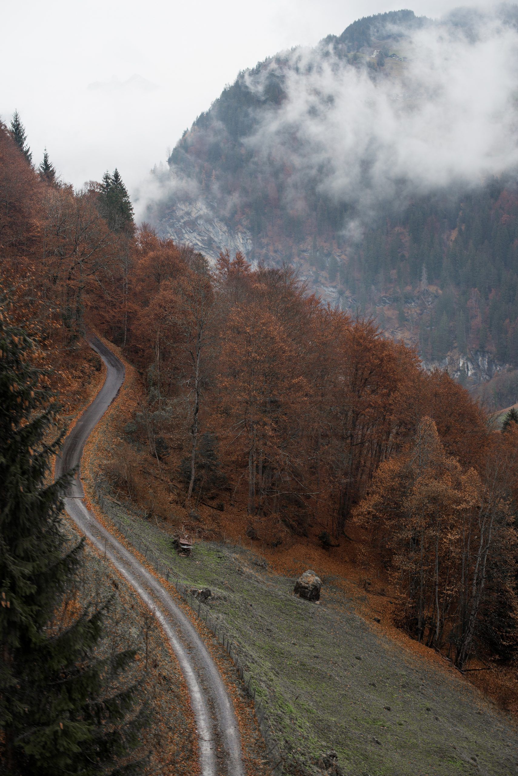 Suiza Ariane Roz Traver photographer fotógrafo de viajes