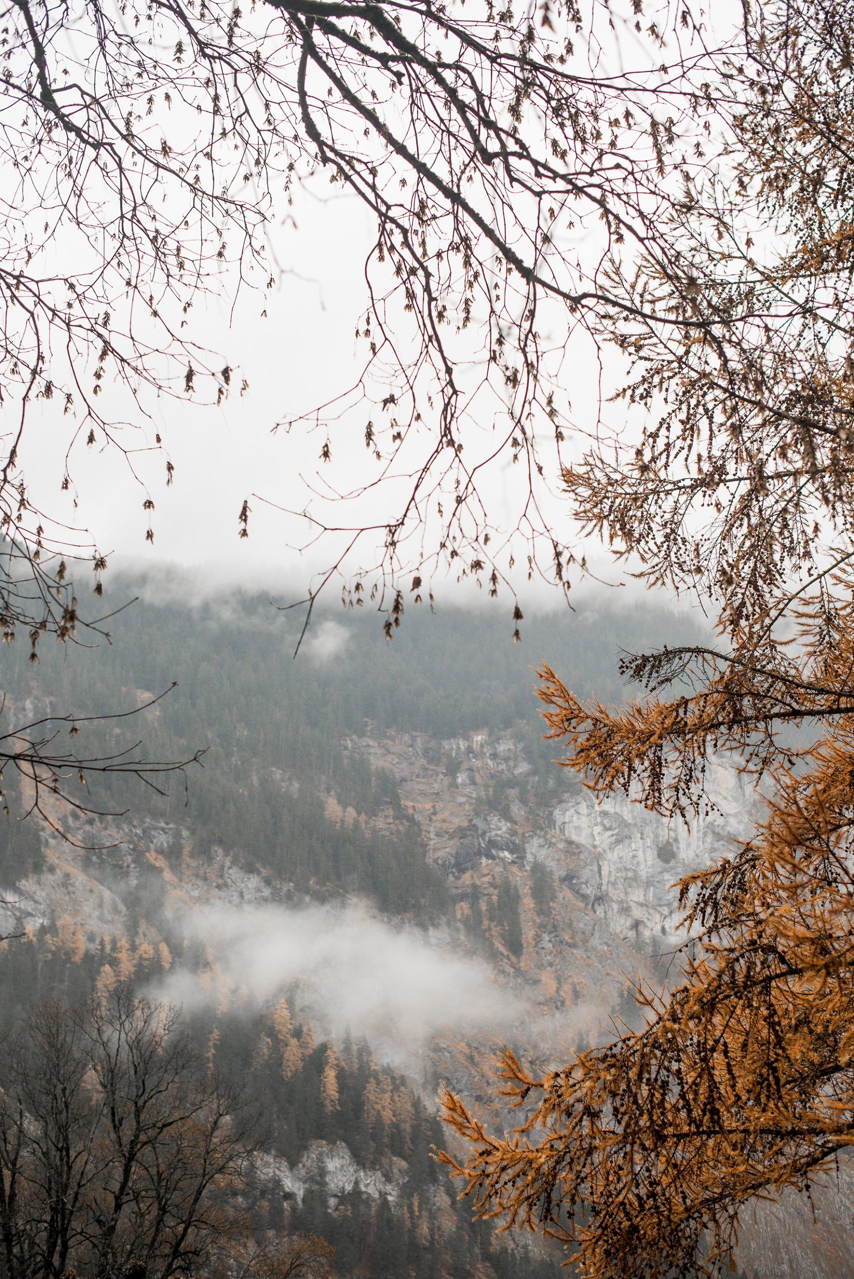 Suiza Ariane Roz Traver photographer fotógrafo de viajes